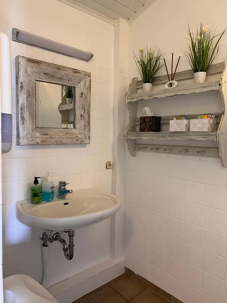 Leider keine Bildbeschreibung für original_10226.jpg vorhanden.